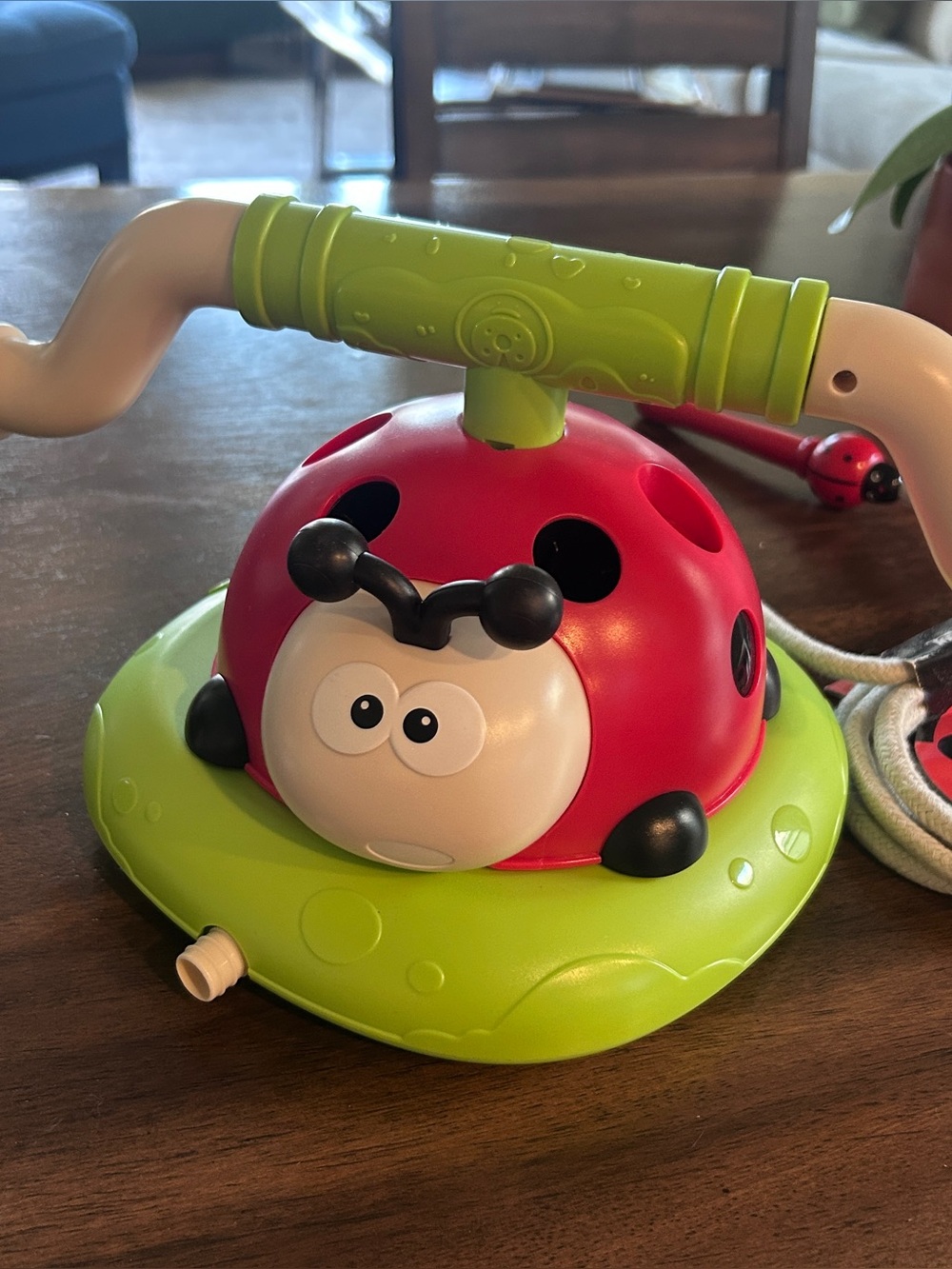 Ladybug sprinkler water Toy - Red and Green